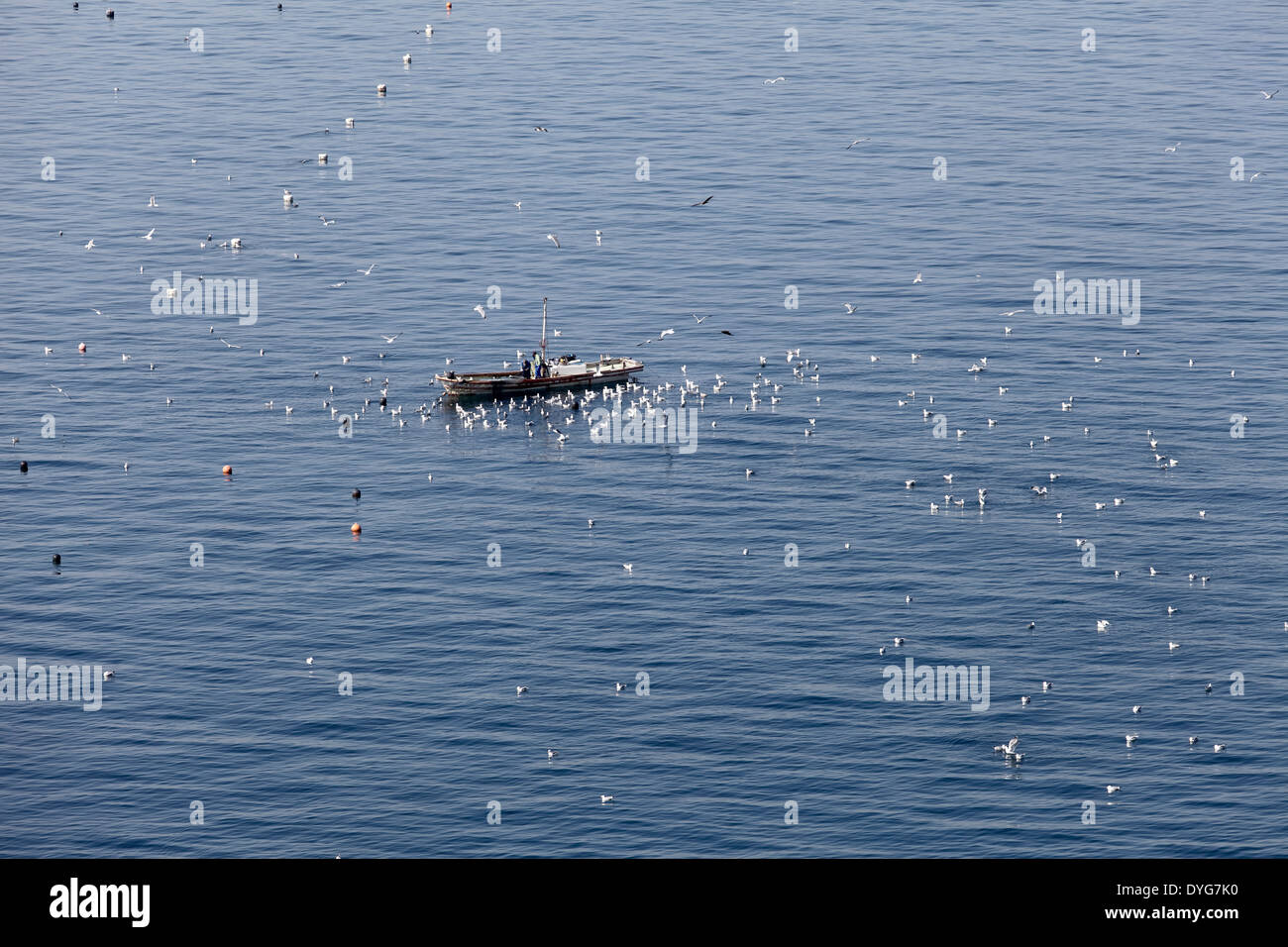 Vue de bateau de pêche et les mouettes Banque D'Images