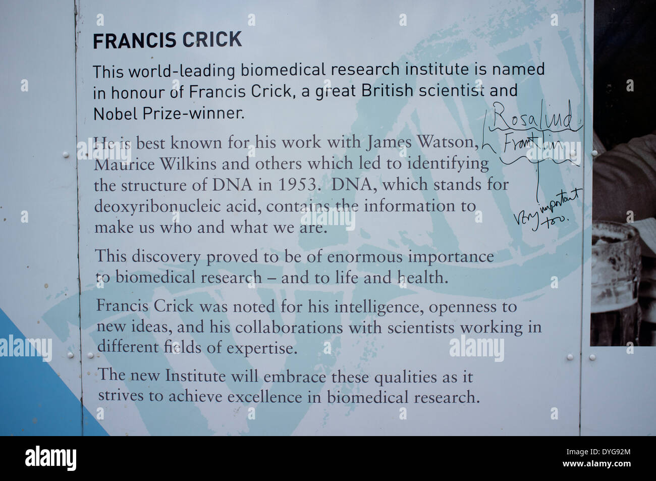 Commentaires à propos de Rosalind Franklin sur mur de Francis Crick Institute site dans Camden Londres Banque D'Images