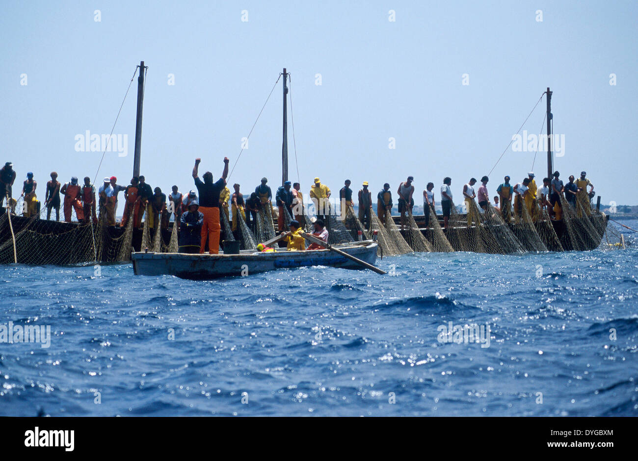 L'Italie, la Sicile, l'Île Egadi Favignana, Tonnara mai 2000, Coopérative La mattanza, la pêche traditionnelle de thon, le Raïs (chef) Gioacchino Cataldo conduite les pêcheurs tirant les filets de poisson le piège pour fermer la chambre de la mort pour la finale de l'harponnage de thon - Plus d'images sur www.visualindia.de Banque D'Images