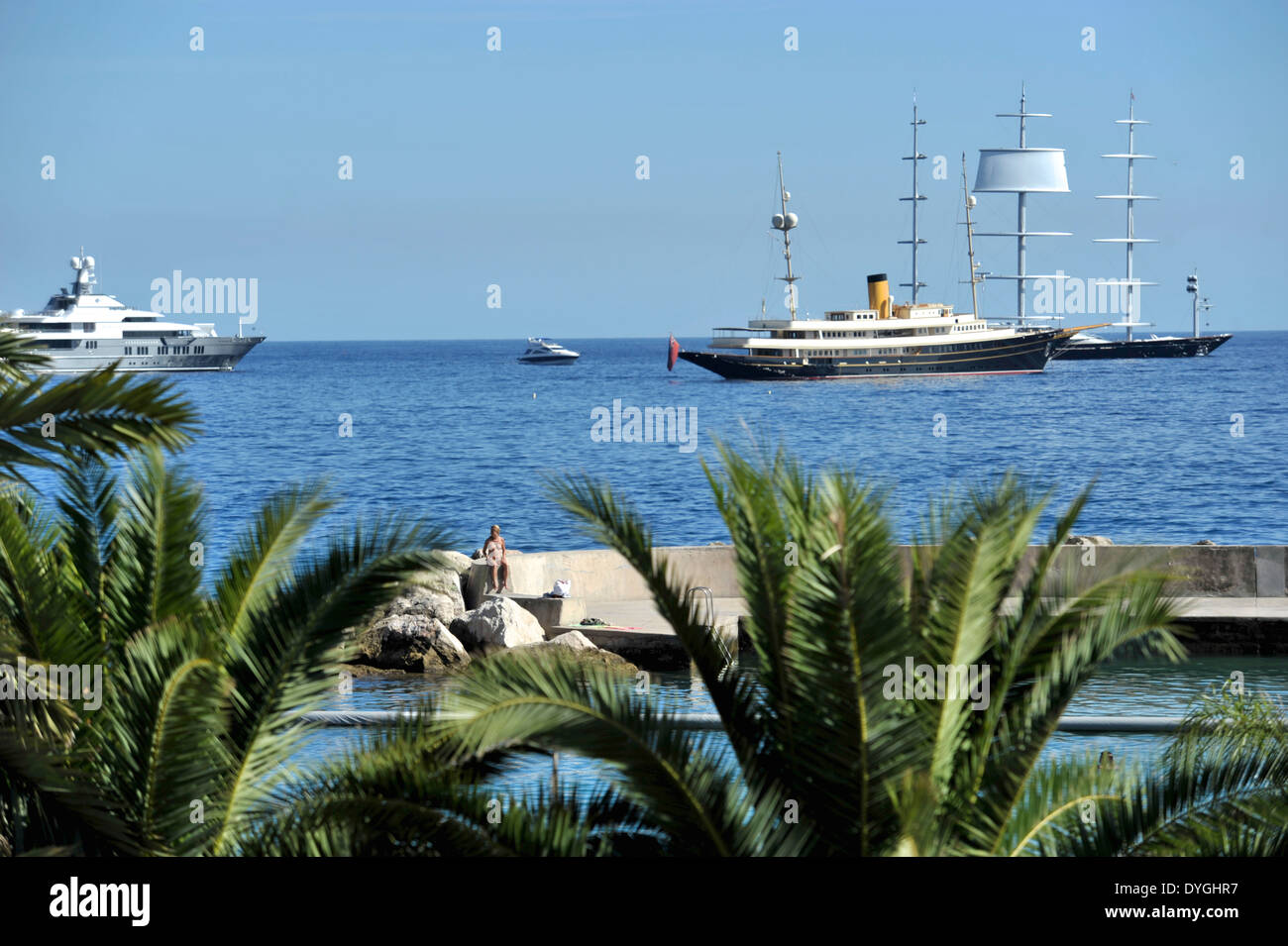 Palmiers bordent la rive de Monaco, des yachts de luxe sont ancrées à proximité. Banque D'Images