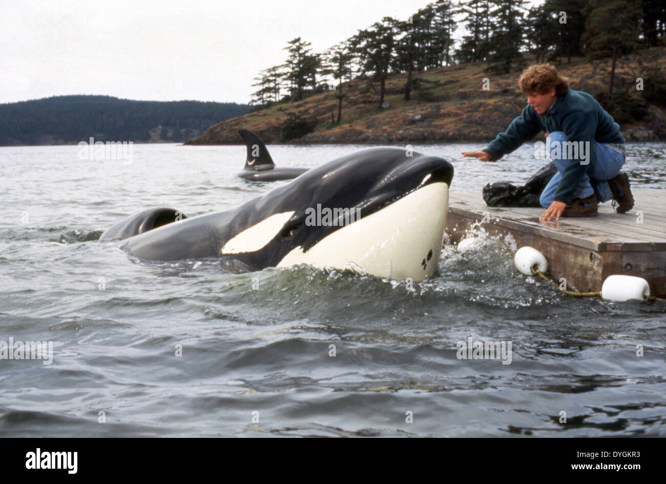 FREE WILLY 2: L'AVENTURE HOME (1995) JASON JAMES RICHTER, DWIGHT LITTLE (DIR) FWY2 002 MOVIESTORE COLLECTION LTD Banque D'Images