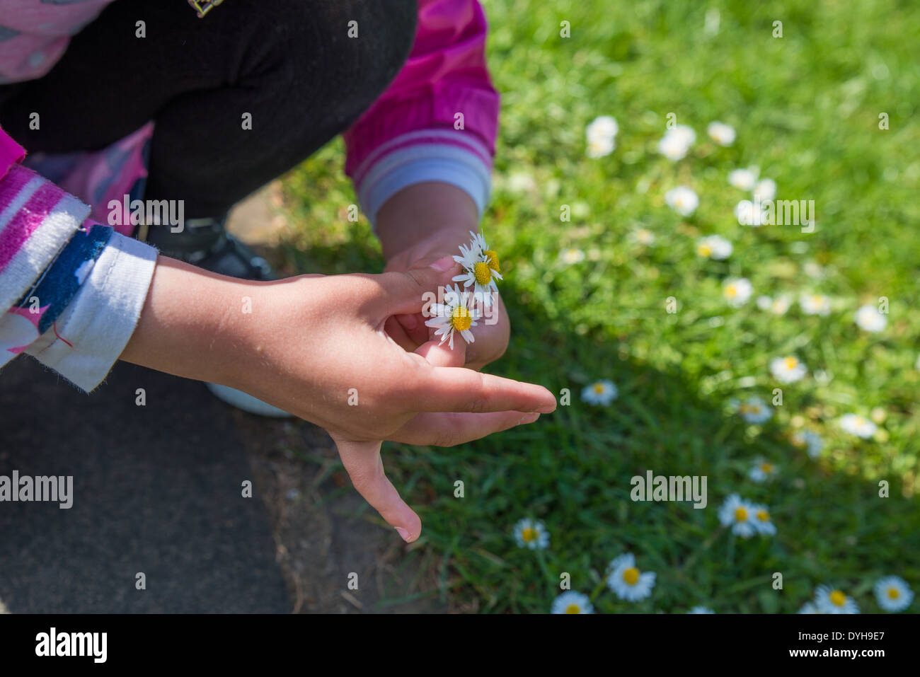 Petites mains,flower,jardin,herbe Banque D'Images