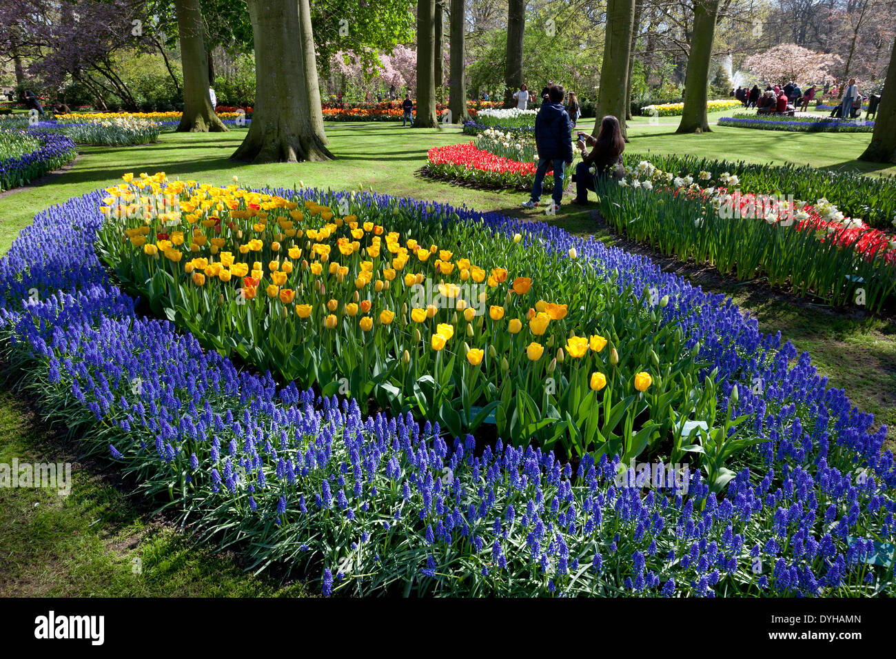 Les tulipes et les touristes dans le Keukenhof à Lisse, aux Pays-Bas Banque D'Images