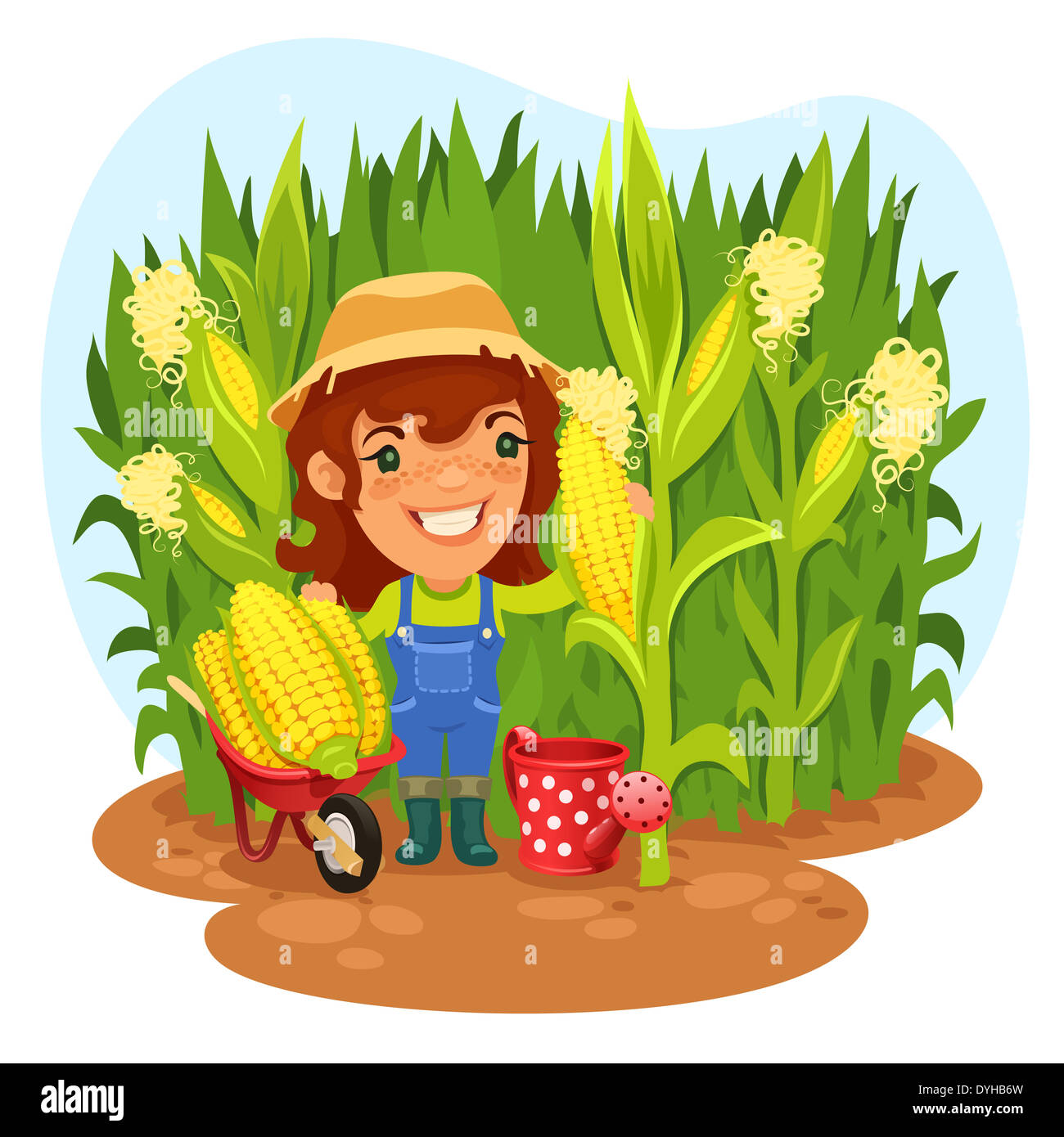 Agricultrice de récolte dans un champ de blé Banque D'Images