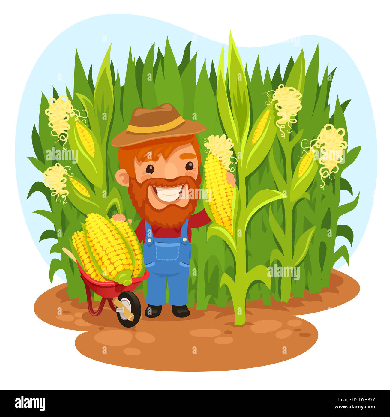 Agriculteur récolte dans un champ de maïs Banque D'Images