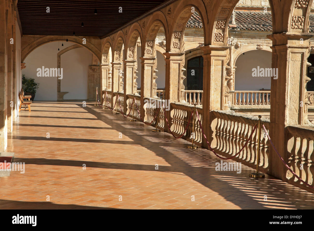 Galerie du cloître du Colegio Mayor de Fonseca (16e siècle), dans la ville historique de Salamanque, Castille et Leon, Espagne. Banque D'Images