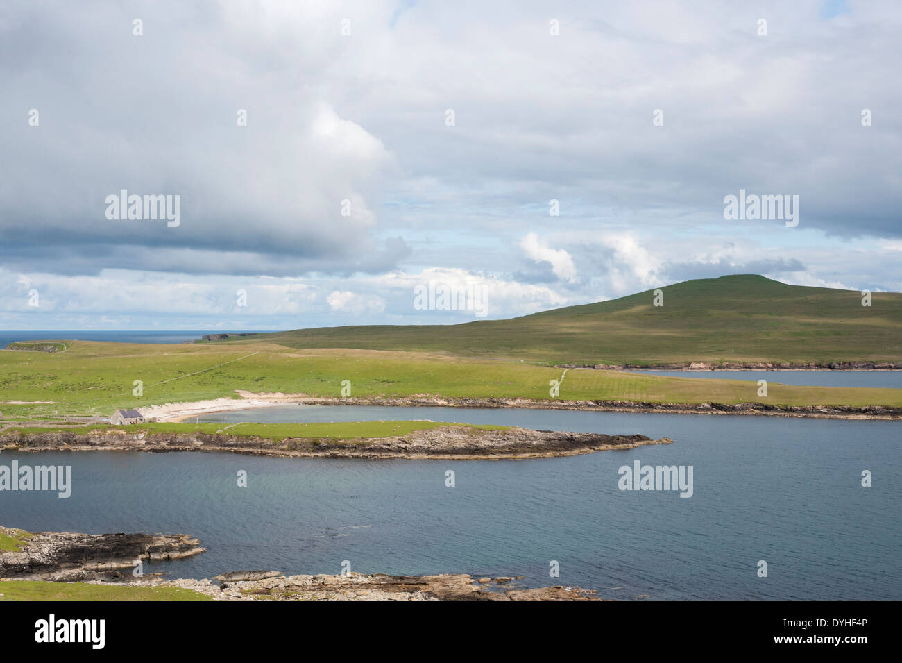 À l'île de Noss, îles Shetland, Écosse, Royaume-Uni Banque D'Images
