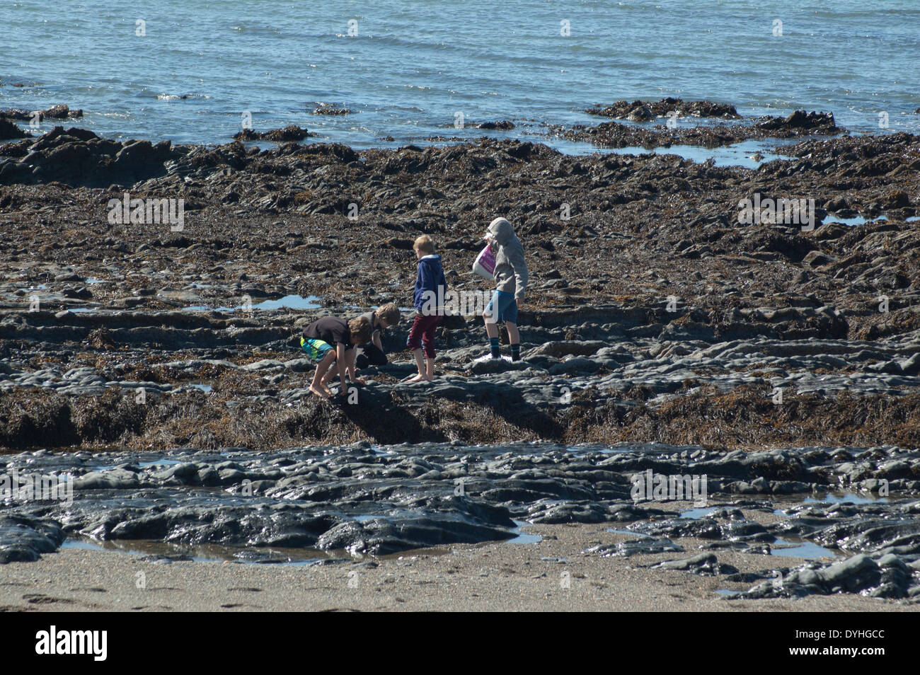 Le vendredi de Pâques 18 avril 2014. Visiteurs (et leurs animaux) profiter du beau temps sur la promenade d'Aberystwyth. Banque D'Images