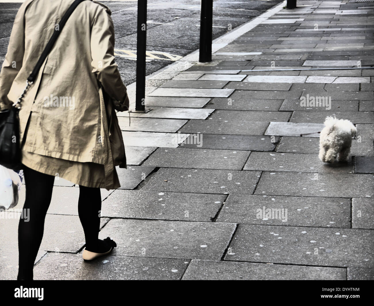 Création / image photographique artistique de woman walking dog, Newcastle upon Tyne, England, UK Banque D'Images