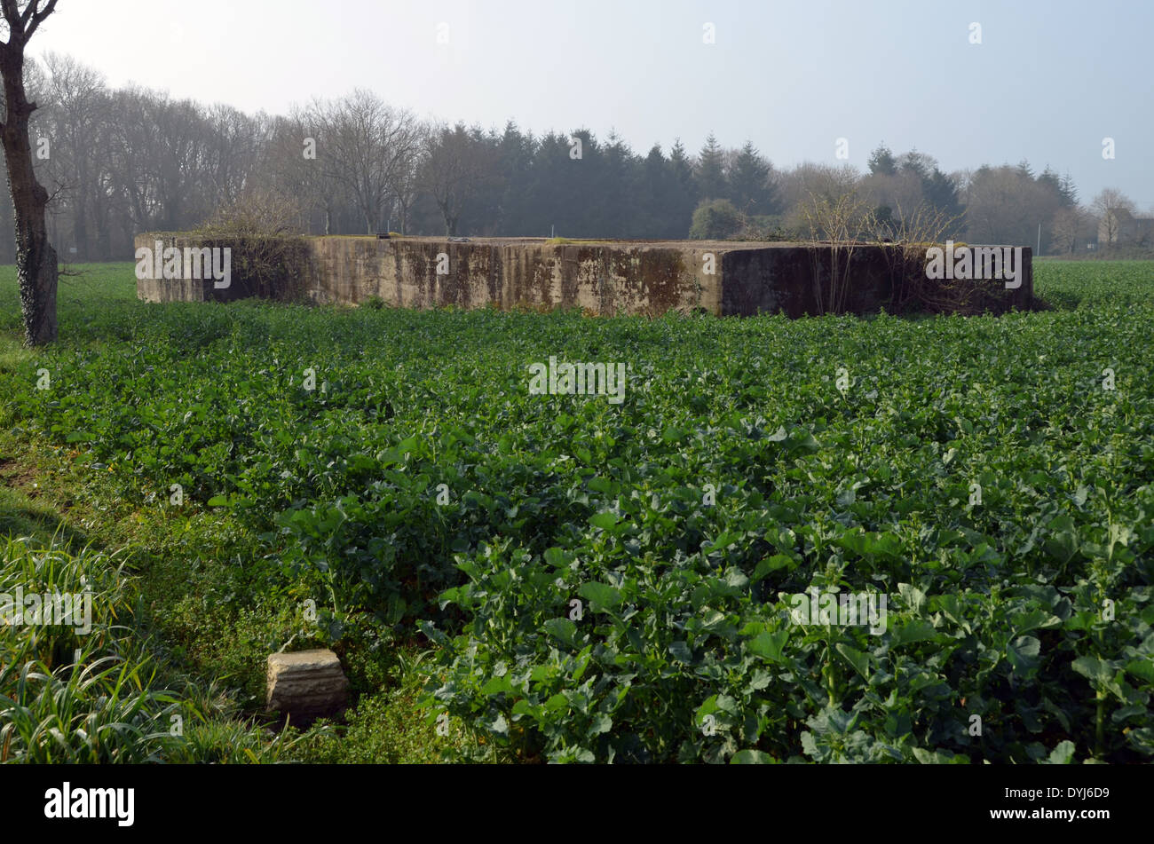 WW2 : reste de la German mur de l'Atlantique en Bretagne. Bunker à côté de la base aérienne de Lann Bihoué à Lorient. Banque D'Images