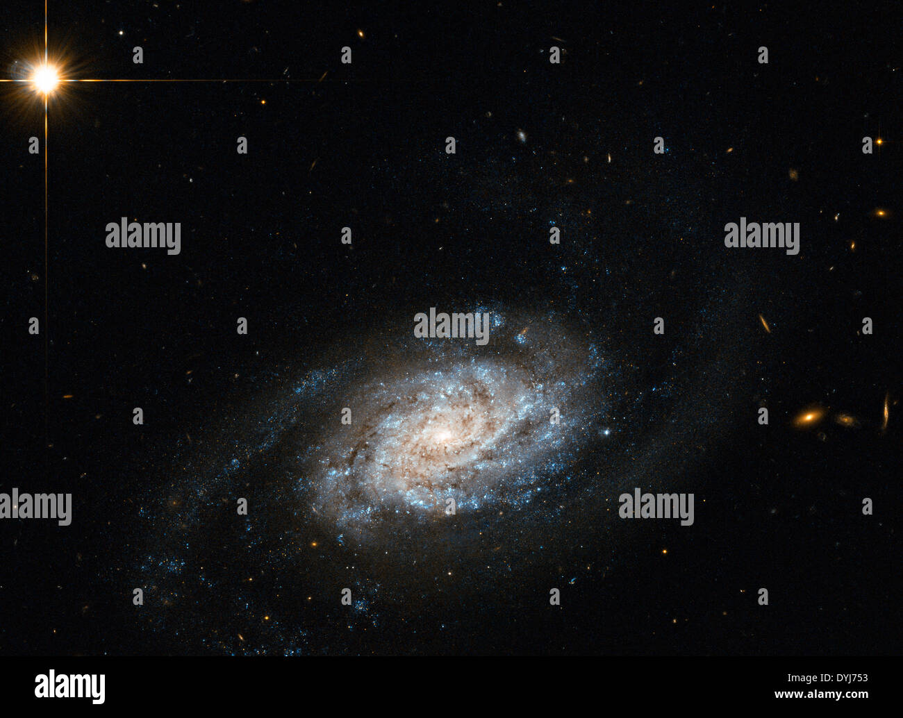 La galaxie spirale appelée NGC 3455, qui se trouve à quelque 65 millions d'années-lumière de la terre dans la constellation du Lion capturée par le télescope spatial Hubble le 14 avril 2014. Banque D'Images