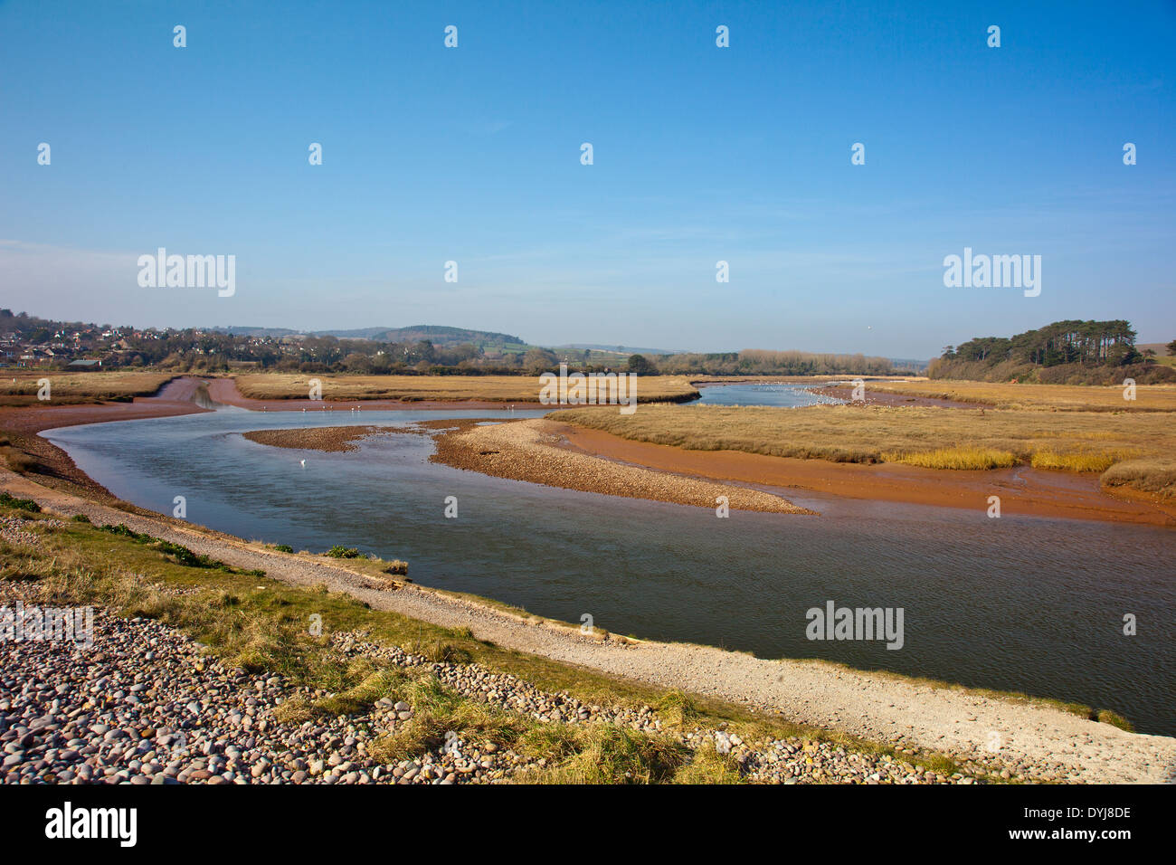 D'échassiers sur les rives de la loutre de rivière et la réserve naturelle de l'estuaire de la loutre à Budleigh Salterton, Devon, England, UK Banque D'Images