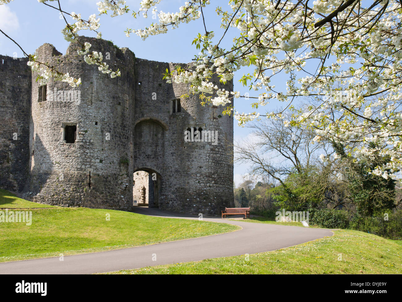 Le Château de Chepstow, un château normand dans Monmouthshire Chepstow Wales Royaume-uni Grande-Bretagne Banque D'Images