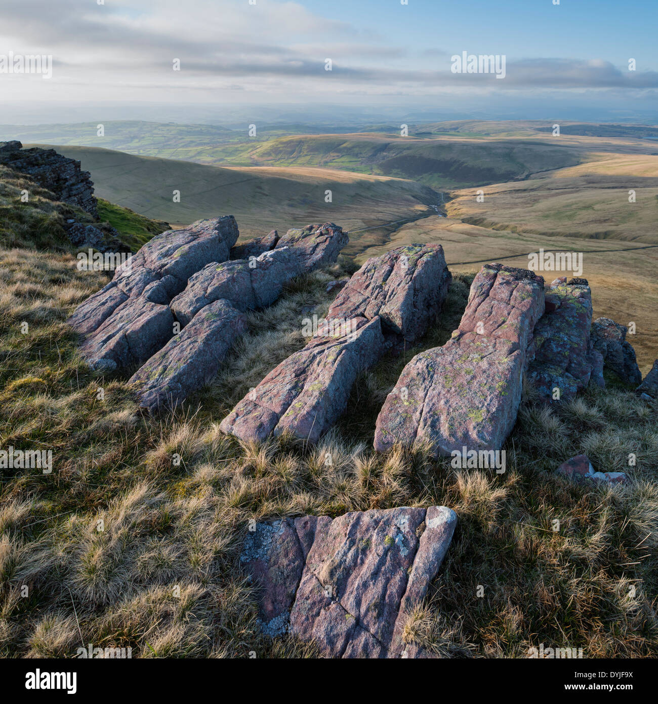 Affleurement rocheux sur ridge de Carmarthen Fans - Bannau Sir Gaer, Black Mountain, parc national de Brecon Beacons, le Pays de Galles Banque D'Images