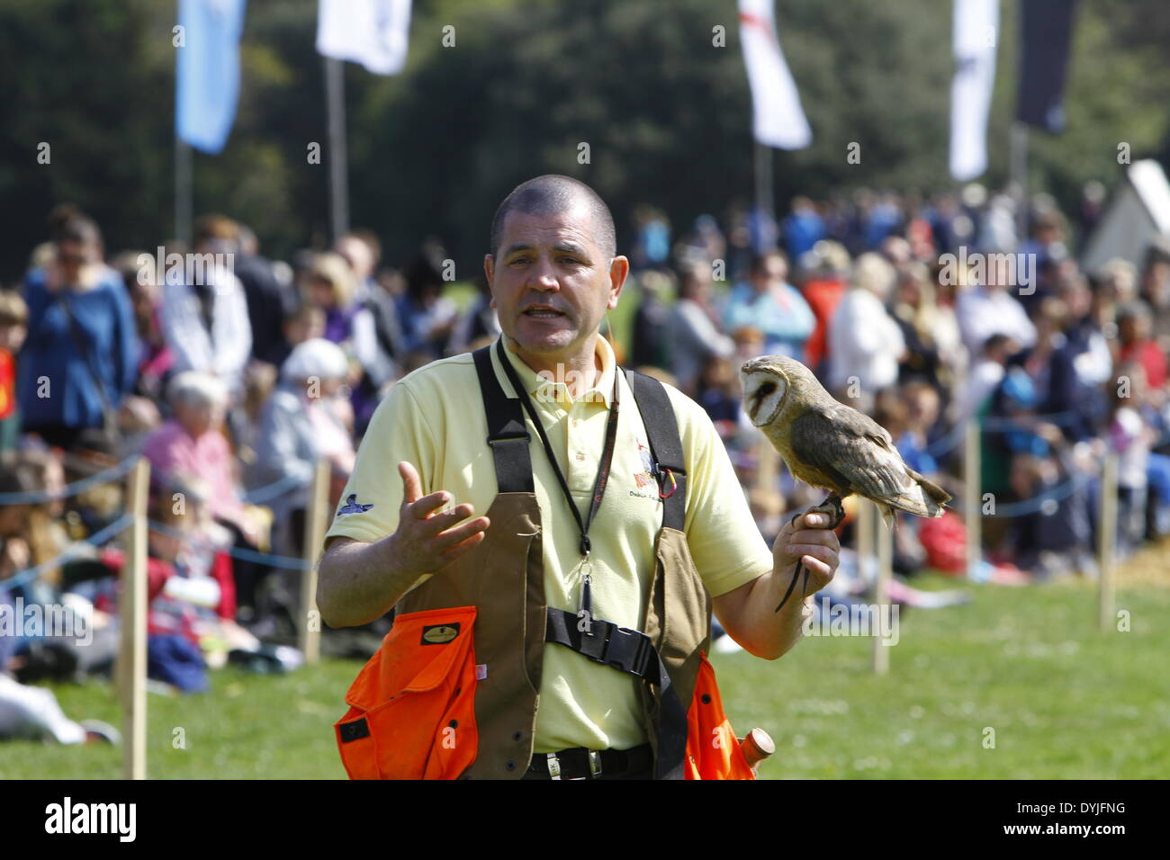 Dublin, Irlande. 19 avril 2014. Un falconer représente un hibou à la foule. Le 1 000 e anniversaire de la bataille de Clontarf entre le haut roi d'Irlande Brian Boru et une coalition de force les royaumes de Dublin, Leinster et Vikings a été célébrée avec un week-end de reconstitutions historiques, qui a réuni environ 40 000 visiteurs. Crédit : Michael Debets/Alamy Live News Banque D'Images