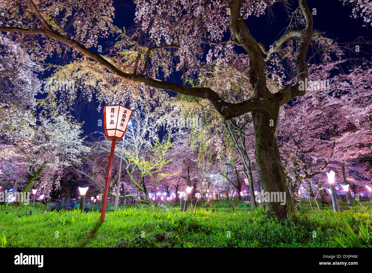 Kyoto, Japon à Temple Hirano lieux du festival au printemps. La lanterne se lit 'Moonrise Hirano, Temple' Banque D'Images