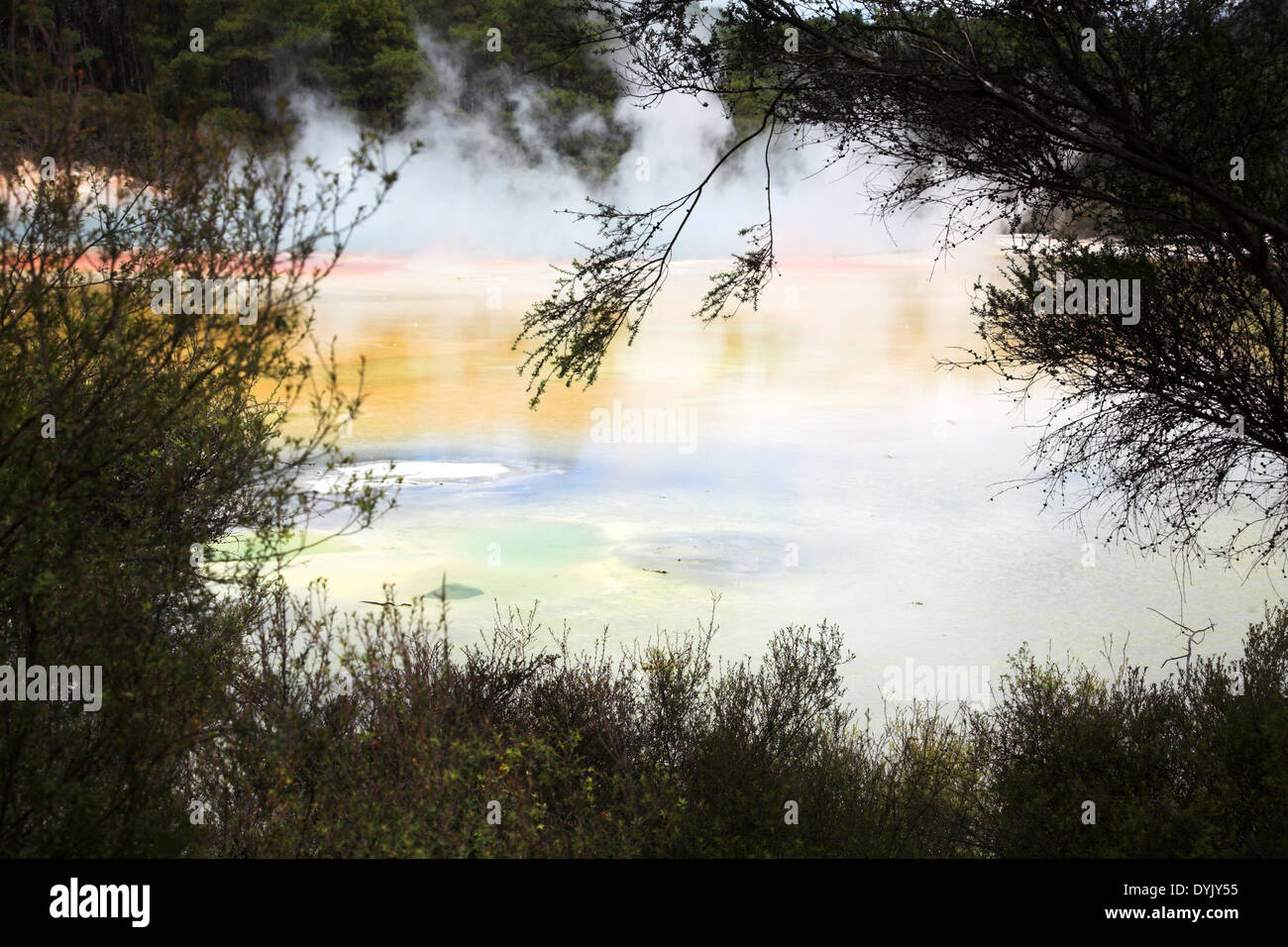 Wai-O-Tapu Nouvelle Zélande Banque D'Images