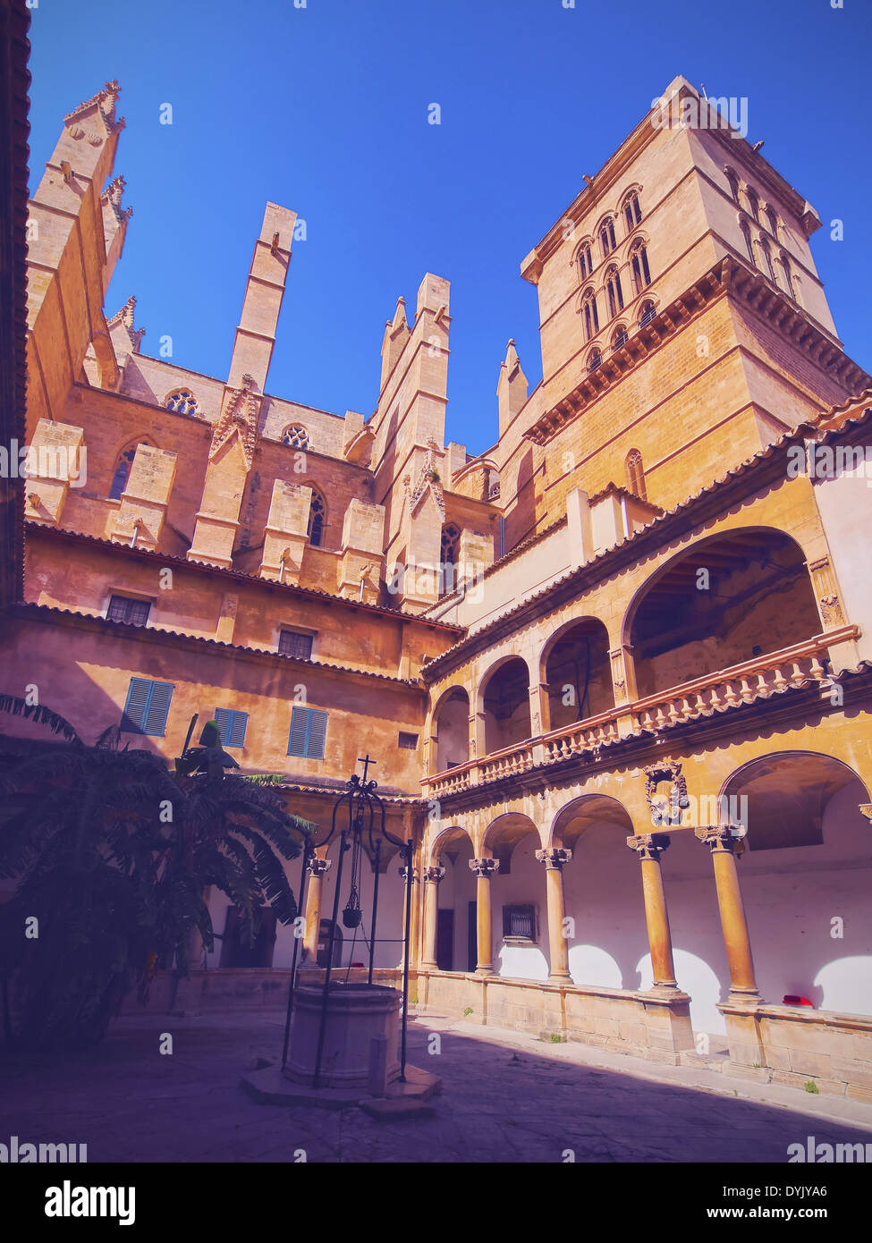 Patio de la cathédrale de Palma de Majorque, Îles Baléares, Espagne Banque D'Images