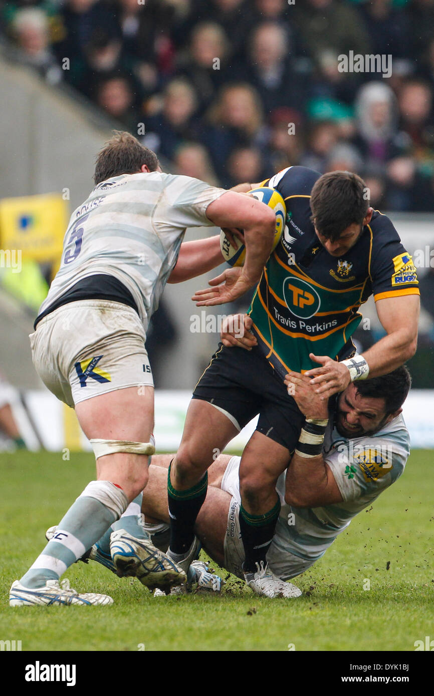 Northampton, Royaume-Uni. Apr 20, 2014. Matt WILLIAMS de Northampton Saints est abordé par Nic Rouse (à gauche) et Jamie Hagan au cours de l'Aviva Premiership match entre Northampton Saints et London Irish à Franklin's Gardens. WILLIAMS a été stretchered off suite à l'attaquer avec un jambe cassée. Score final : 36-21 Northampton Saints irlandais de Londres. Credit : Action Plus Sport/Alamy Live News Banque D'Images