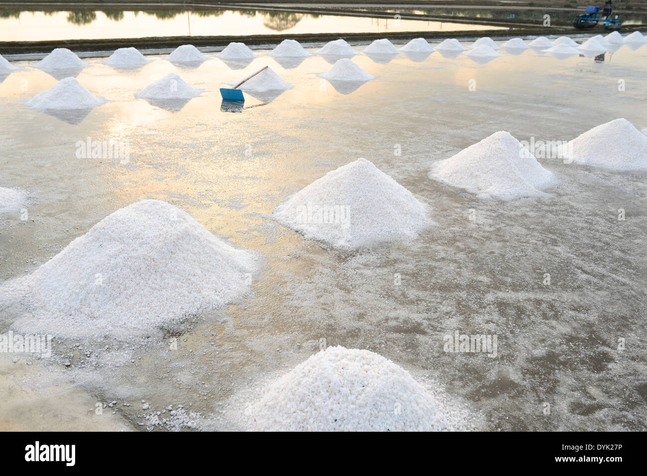 Ferme saline à Samut Sakhon, Thaïlande Banque D'Images