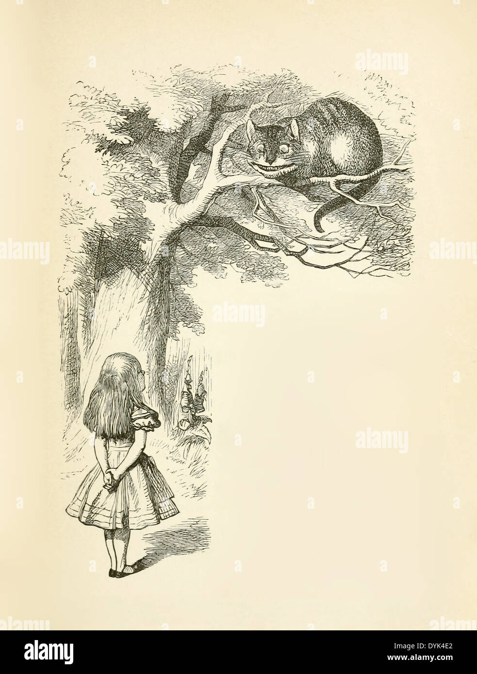 « Alice rencontre le chat du Cheshire » 1865 illustration de l’artiste britannique Sir John Tenniel (1820-1914) montrant Alice rencontrant le chat souriant du Cheshire perché sur une branche d’arbre, une scène du chapitre 6 « Pig and Pepper » du roman classique de Lewis Carroll « Alice’s Adventures in Wonderland ». Photographie tirée d'une édition originale de 1888 du livre publié par Macmillan & Co. Crédit : Collection privée / AF Fotografie Banque D'Images