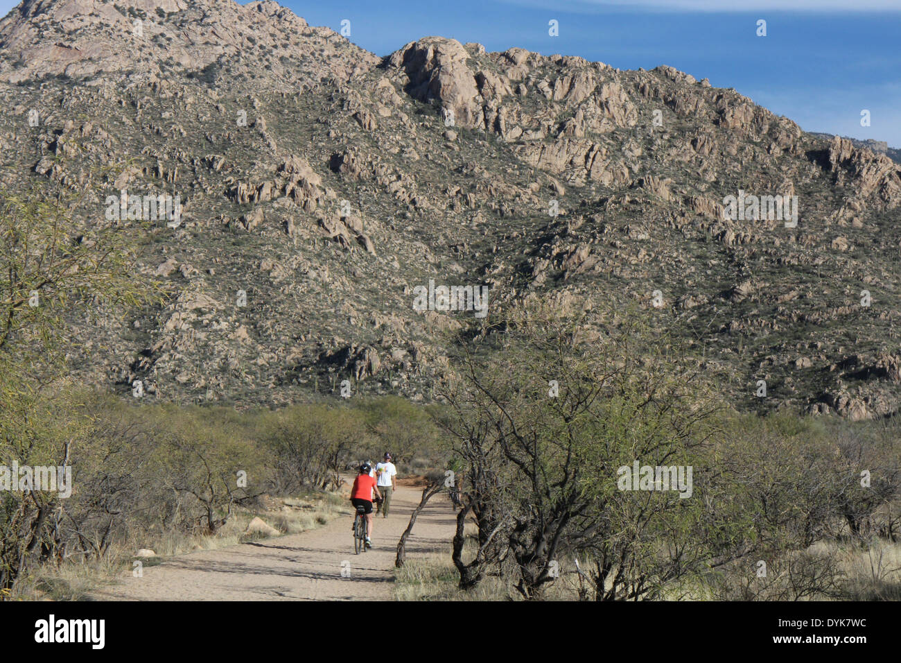 Randonneurs Cyclistes en Arizona désert de Sonora laver Banque D'Images