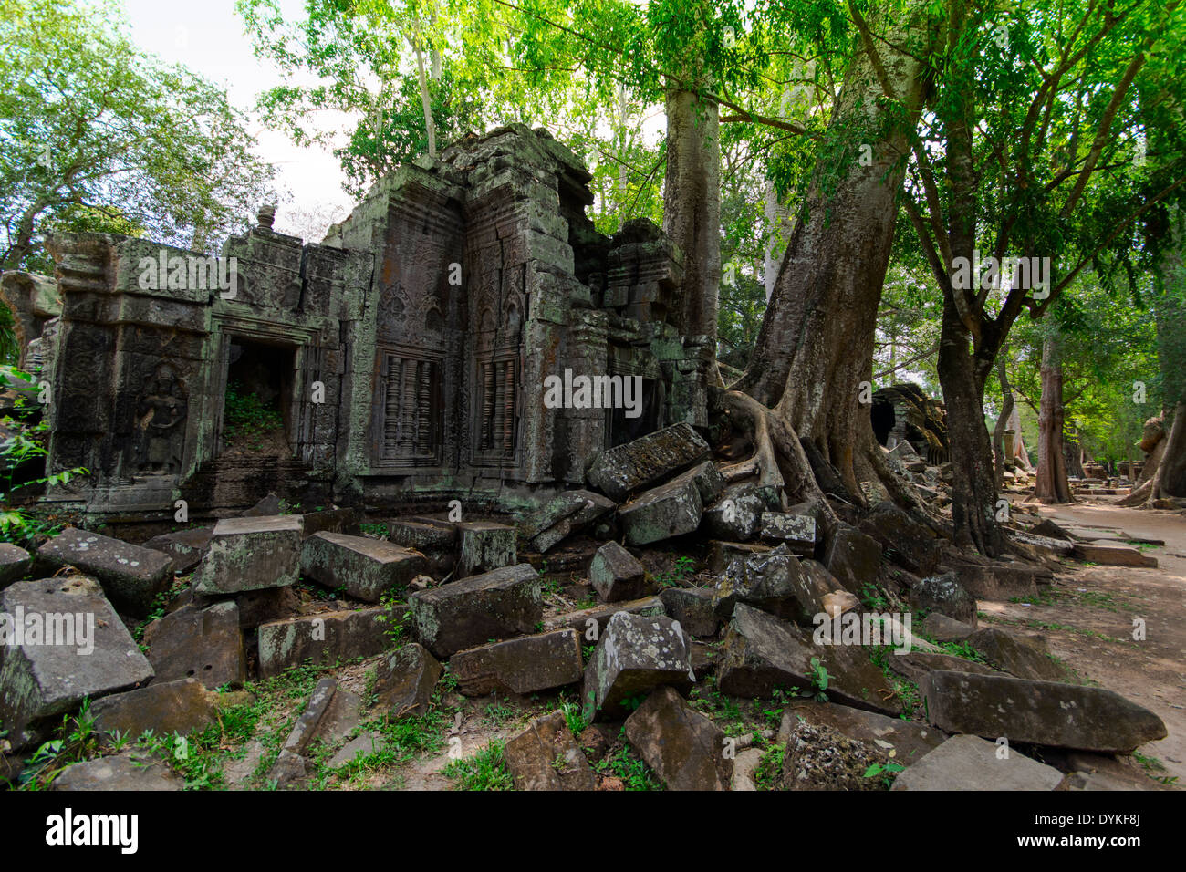 Prasat Ta Prum ruines. Banque D'Images