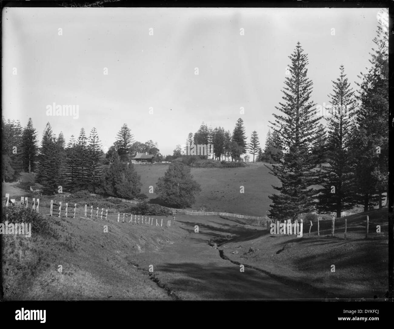 Le Powerhouse Museum sur l'île Norfolk offre une vue imprenable sur la région historique de Kingston, connue pour ses bâtiments de l'époque coloniale. Le musée offre un aperçu de l'histoire culturelle et naturelle de l'île, mêlant patrimoine et expositions modernes. Banque D'Images