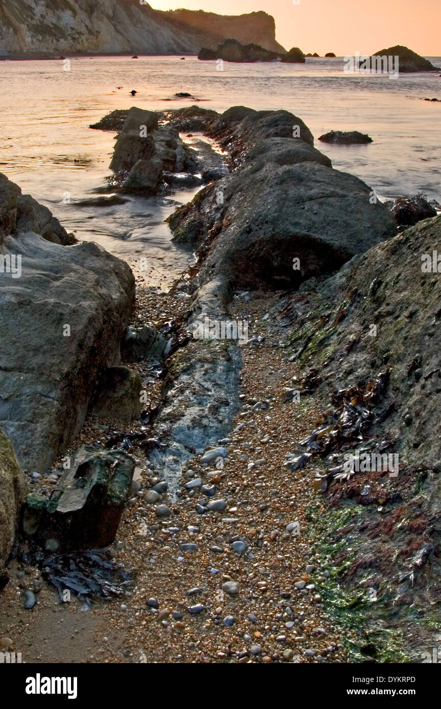 Aube lumière sur l'homme de guerre o Bay sur la côte jurassique du Dorset, à marée basse et les roches exposées s'étendant dans la baie. Banque D'Images