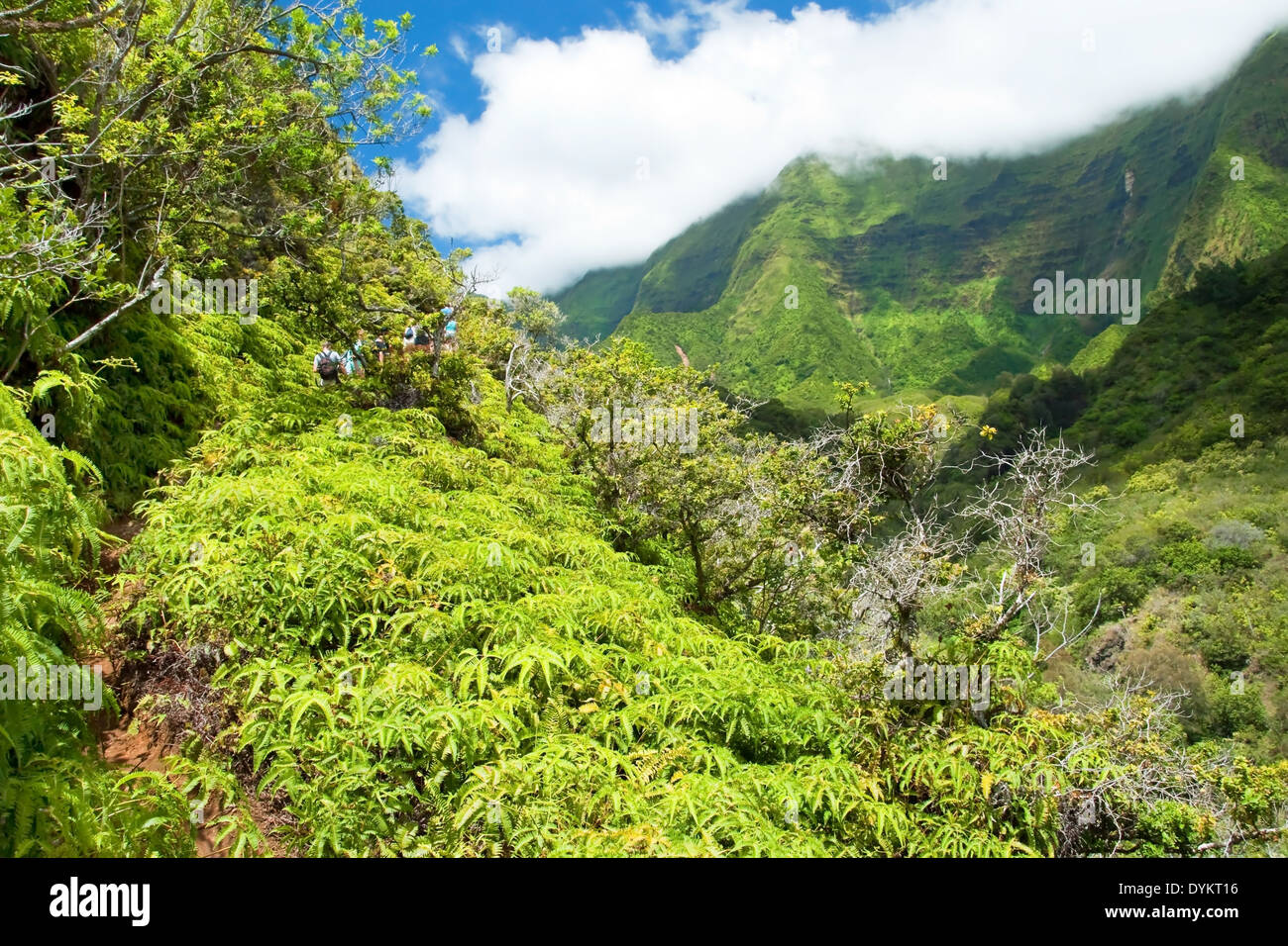 L'iao Valley State Park sur Maui Hawaii Banque D'Images