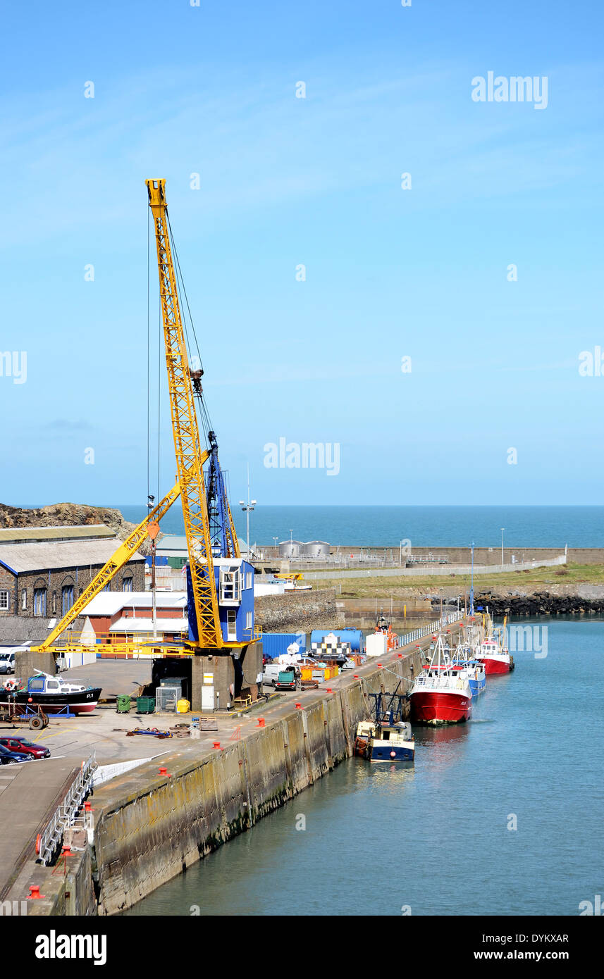 Le port ferry de Fishguard, Pembrokeshire, Pays de Galles, Royaume-Uni Banque D'Images