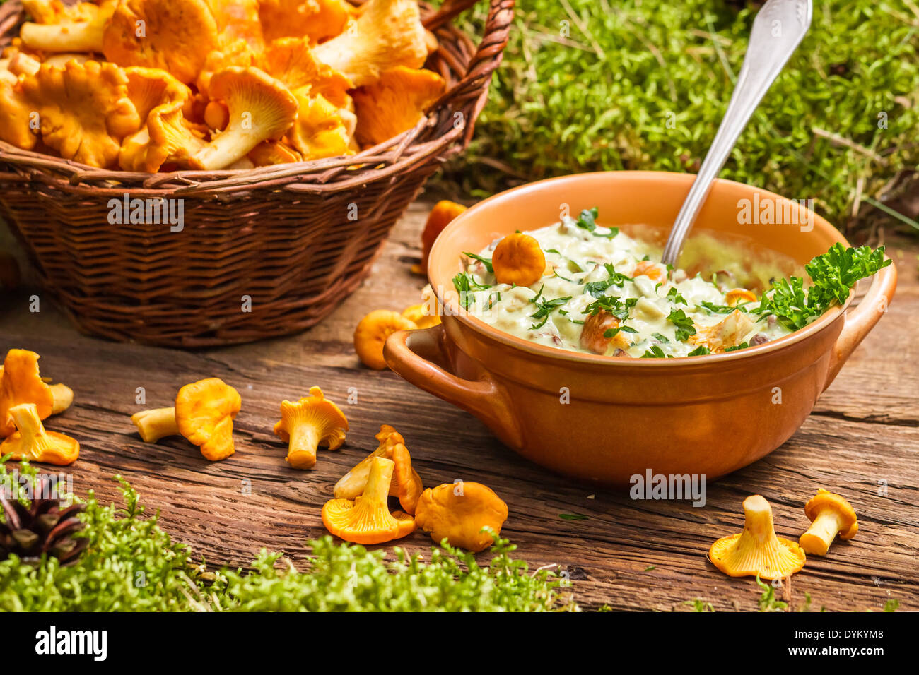 Les chanterelles à la crème de champignons et le persil sont dans la