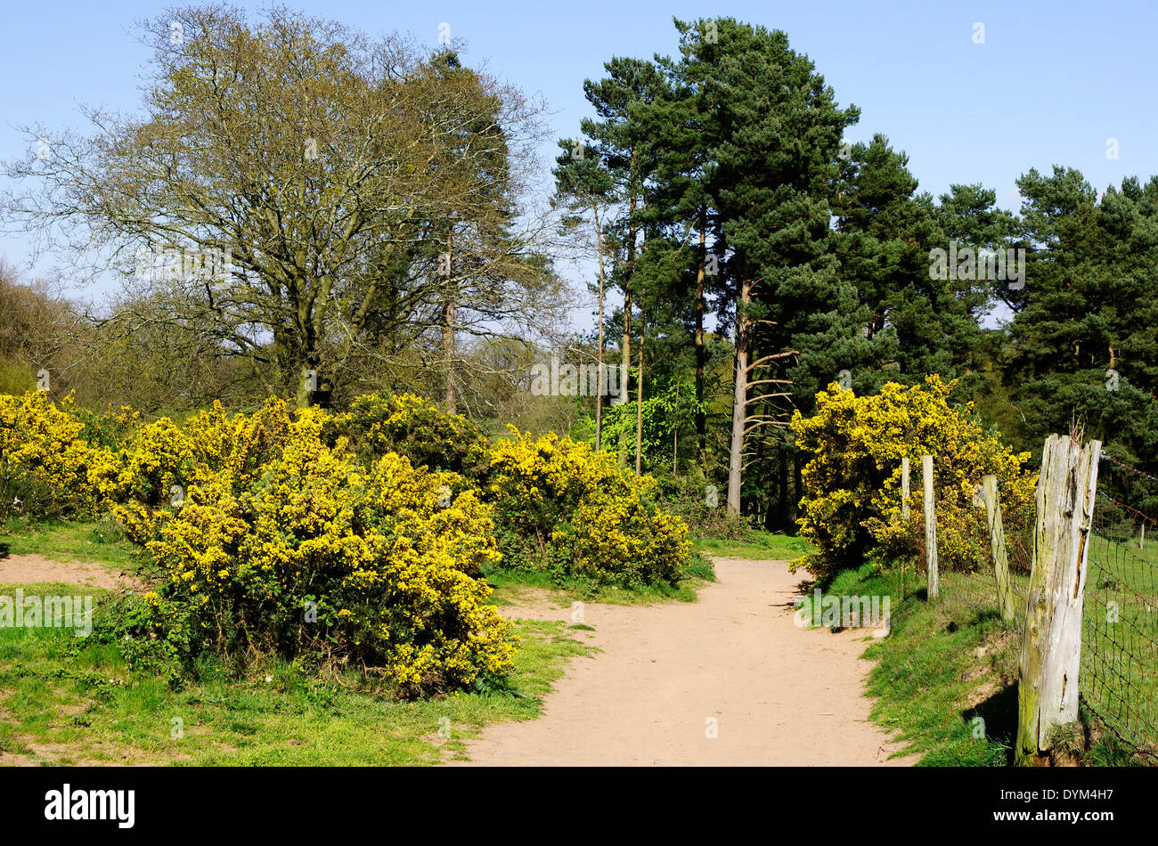 Droit de passage public à Kinver Edge, Staffordshire, Angleterre, Royaume-Uni au printemps Banque D'Images