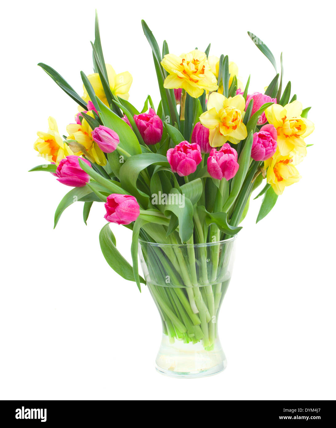 Bouquet de tulipes et de jonquilles en vase Banque D'Images