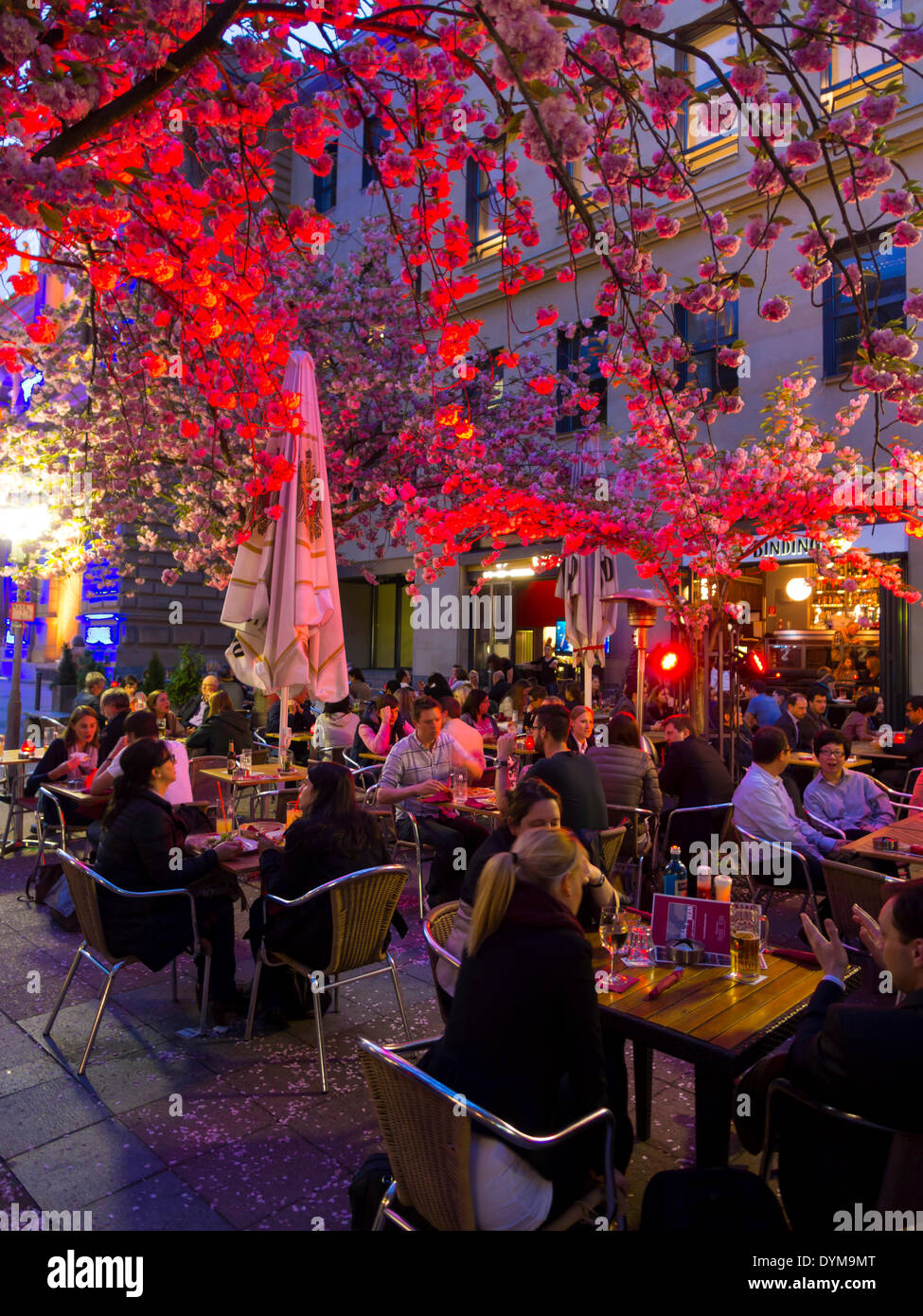 Restaurant 'Bulle et Bär', Luminale, Frankfurt am Main, Hesse, Allemagne Banque D'Images