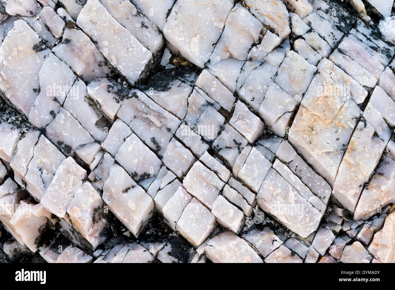 Quartzous rocks, fissurée par le gel, Reliktbukta, Nordaustland, archipel du Svalbard, Svalbard et Jan Mayen (Norvège) Banque D'Images