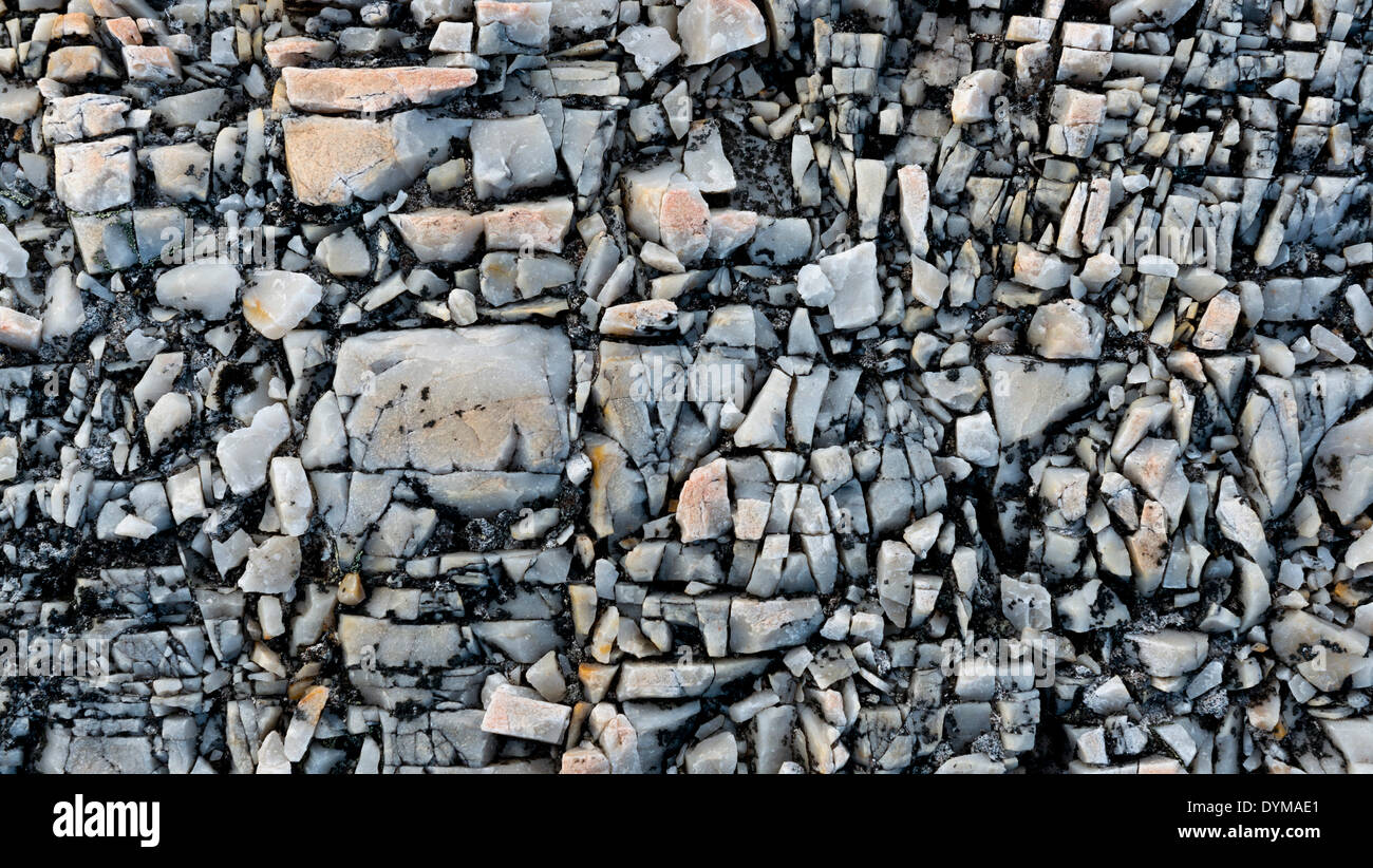 Quartzous rocks, fissurée par le gel, Reliktbukta, Nordaustland, archipel du Svalbard, Svalbard et Jan Mayen (Norvège) Banque D'Images