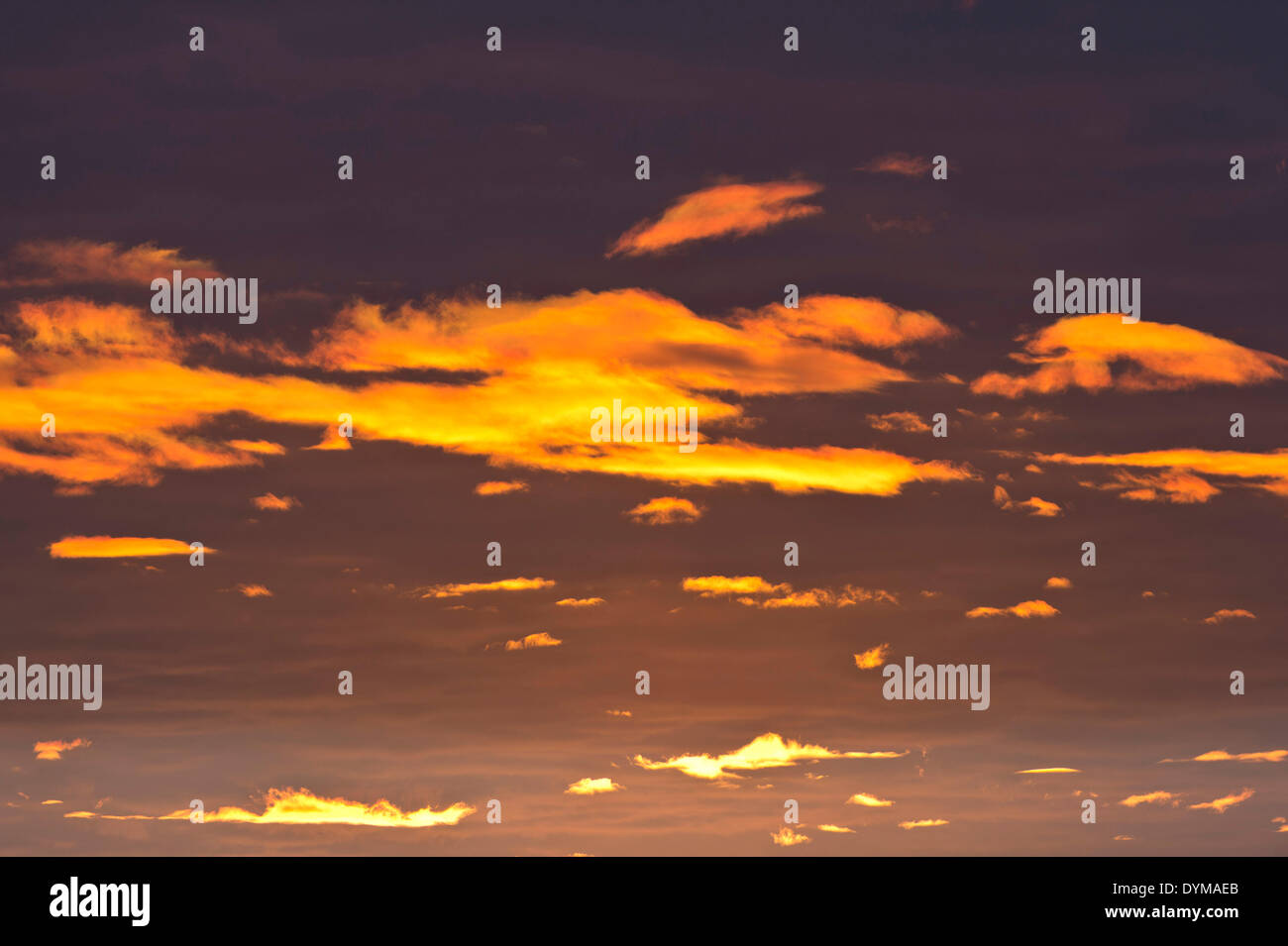 Nuages dans la lumière du soir, l'Hinlopenstretet, archipel du Svalbard, Svalbard et Jan Mayen (Norvège) Banque D'Images Nuages dans la lumière du soir, l'Hinlopenstretet, archipel du Svalbard, Svalbard et Jan Mayen (Norvège) Banque D'Images