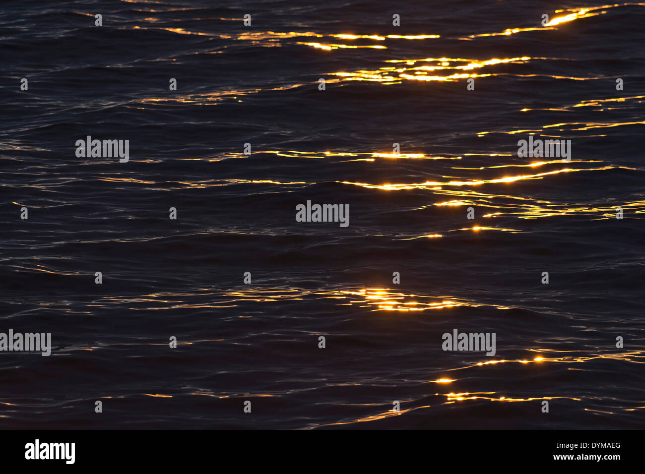 Lumière du soir sur la mer, l'Hinlopenstretet, archipel du Svalbard, Svalbard et Jan Mayen (Norvège) Banque D'Images Lumière du soir sur la mer, l'Hinlopenstretet, archipel du Svalbard, Svalbard et Jan Mayen (Norvège) Banque D'Images