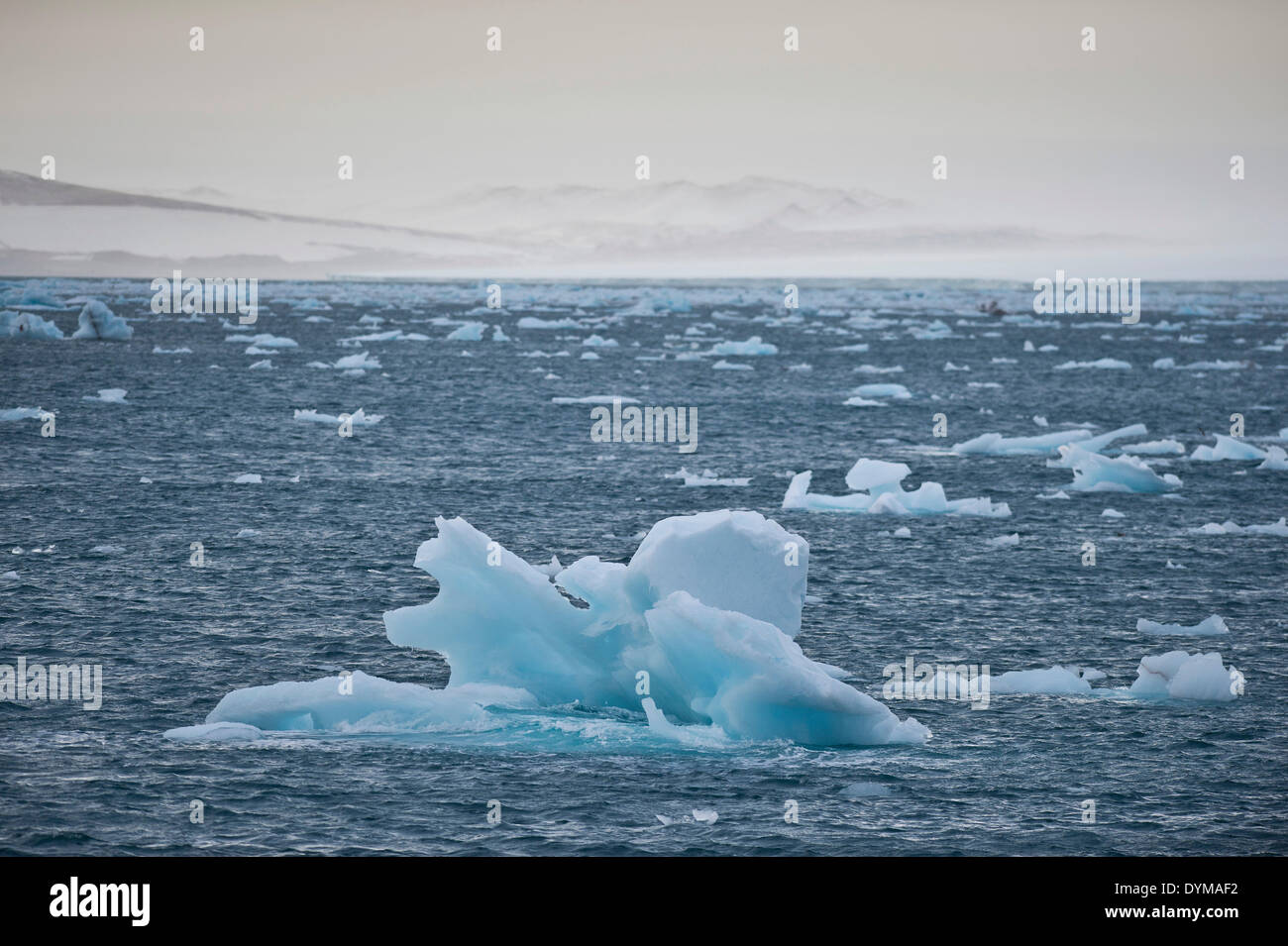 Les icebergs flottant sur la mer au large de Nordaustlandet, archipel du Svalbard, Svalbard et Jan Mayen (Norvège) Banque D'Images