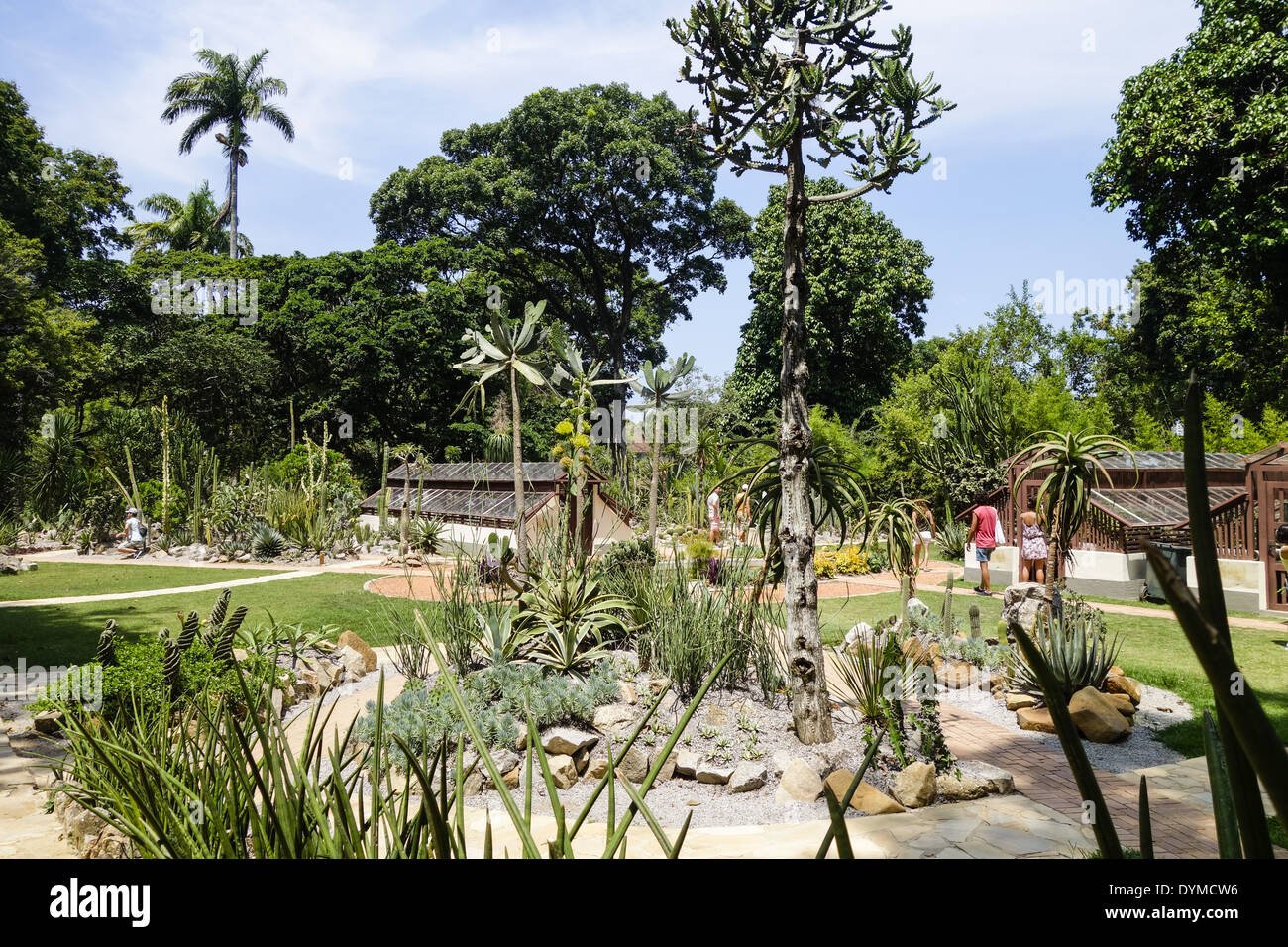 Rio de Janeiro, le jardin botanique, Jardim Botanico, Brésil Banque D'Images