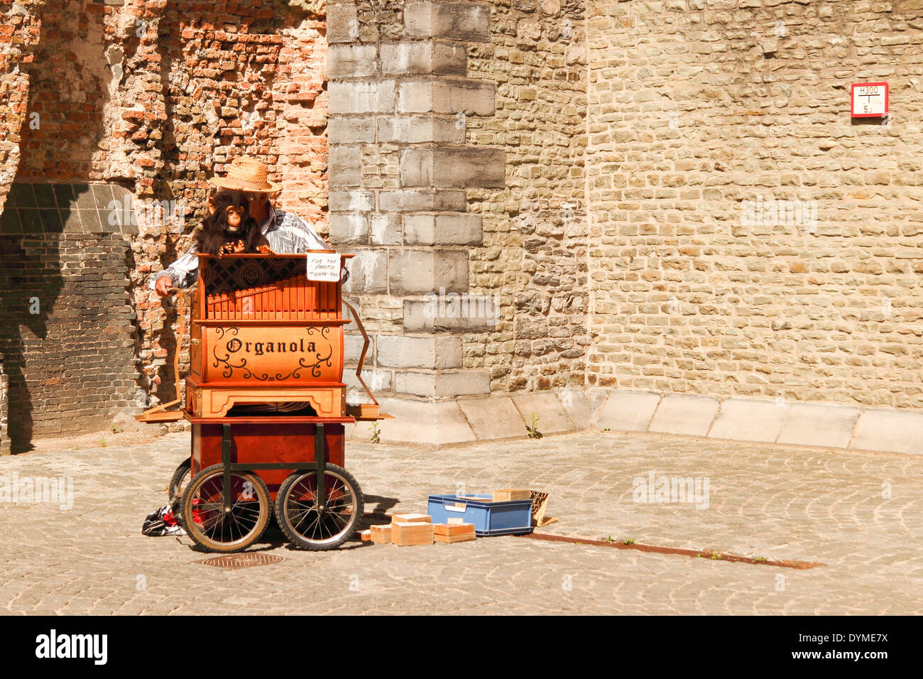 Homme jouant de l'orgue de rue, artiste, musicien ambulant, Bruges, Belgique Banque D'Images