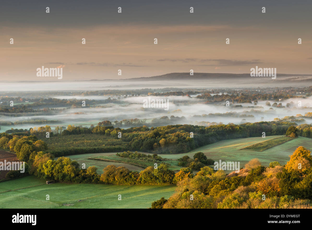 Avis de Surrey Hills de Colley Hill, Reigate, Surrey, UK Banque D'Images
