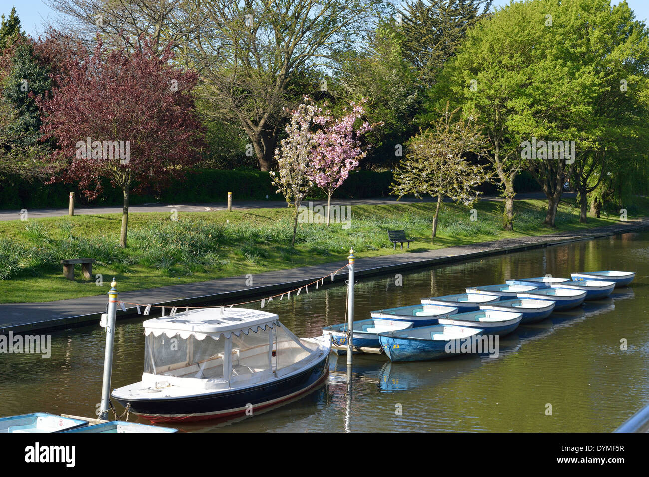 Location de bateaux de plaisance de Hythe, dans le Kent vue de la sentier Canal Militaire Royal. Banque D'Images