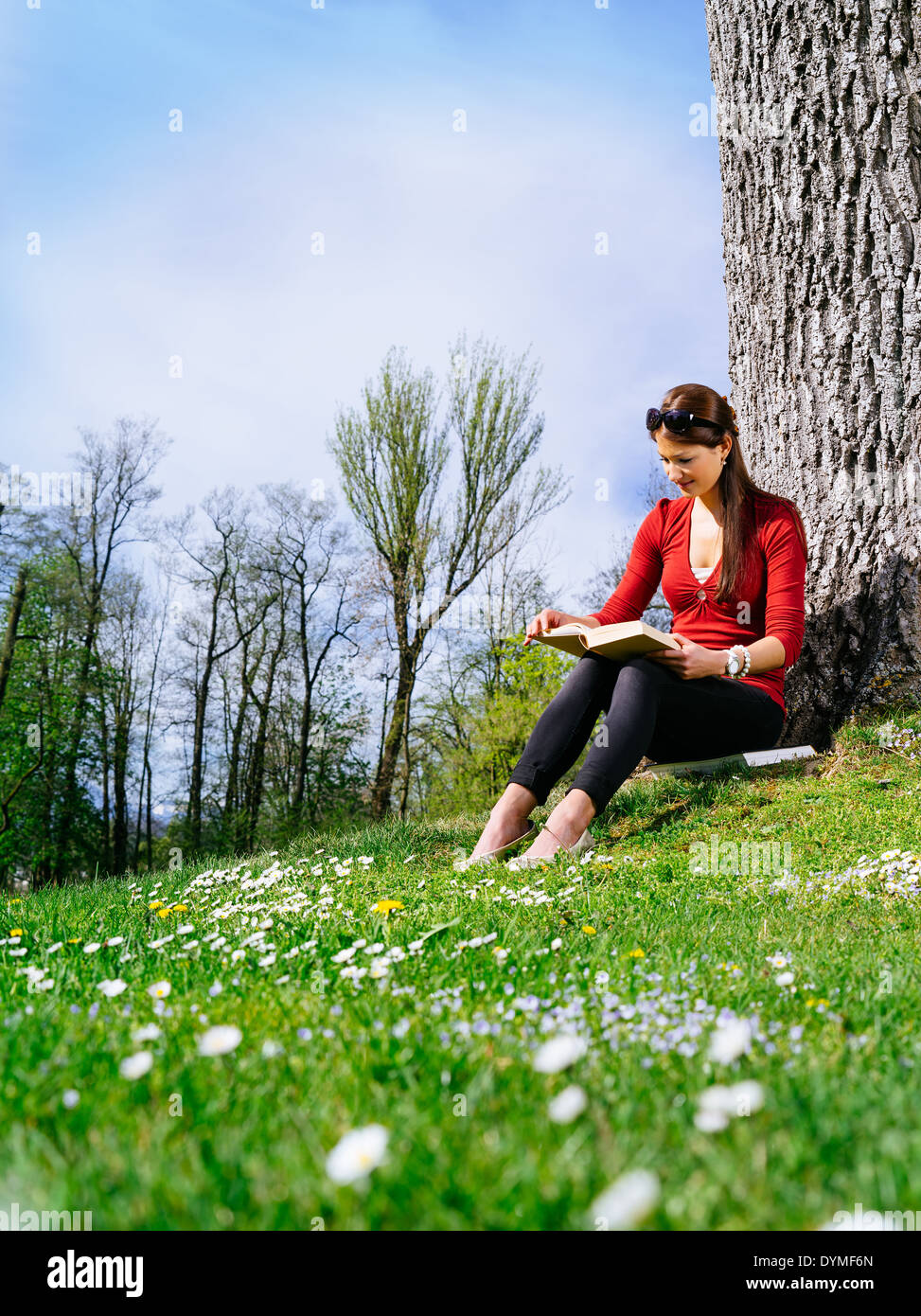 Photo d'une belle jeune femme lisant un livre assis contre un arbre au début du printemps. Banque D'Images