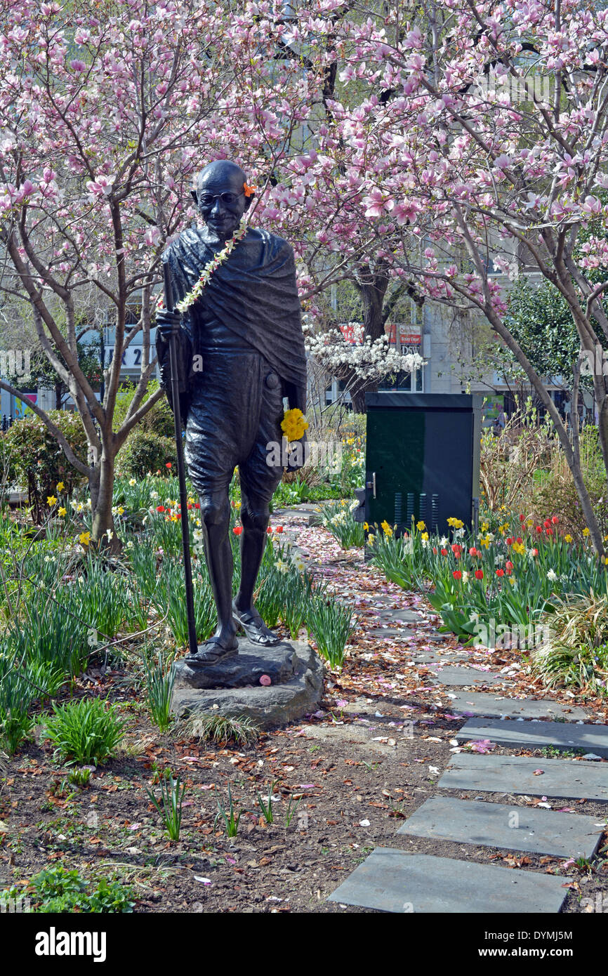 Une statue de Mohandas Gandhi à Union Square Park, à New York, photographié au printemps avec des tulipes et de magnolias. Banque D'Images