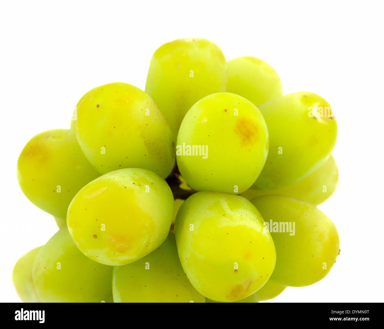 Une petite grappe de raisin vert Banque D'Images