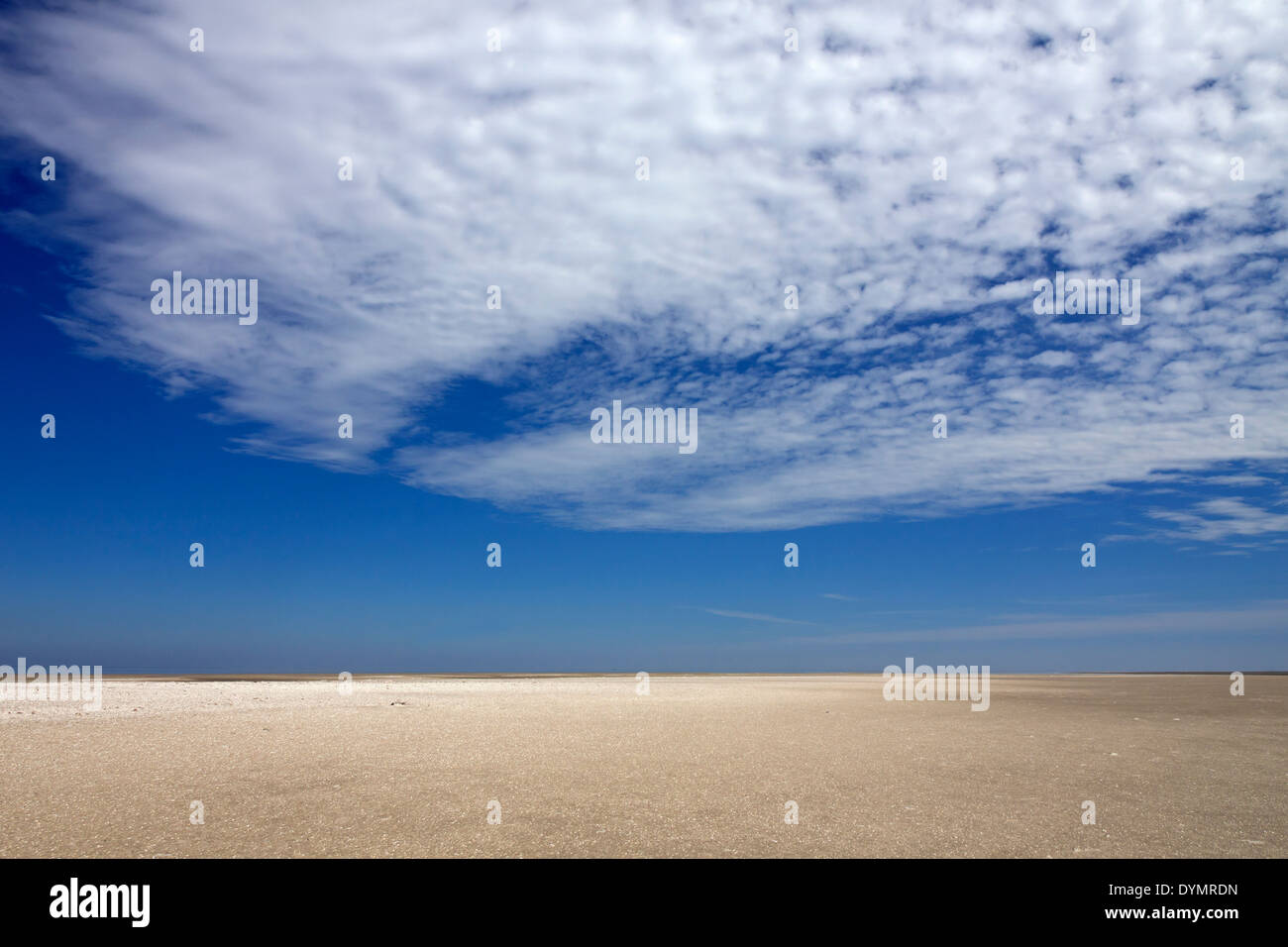 Les vasières à marée basse à la mer des Wadden Parc National, Allemagne Banque D'Images