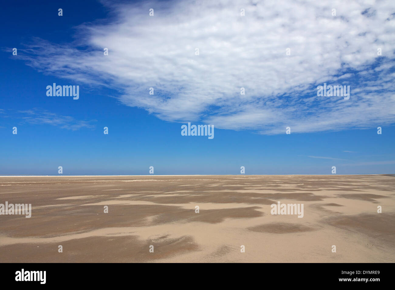 Les vasières à marée basse à la mer des Wadden Parc National, Allemagne Banque D'Images