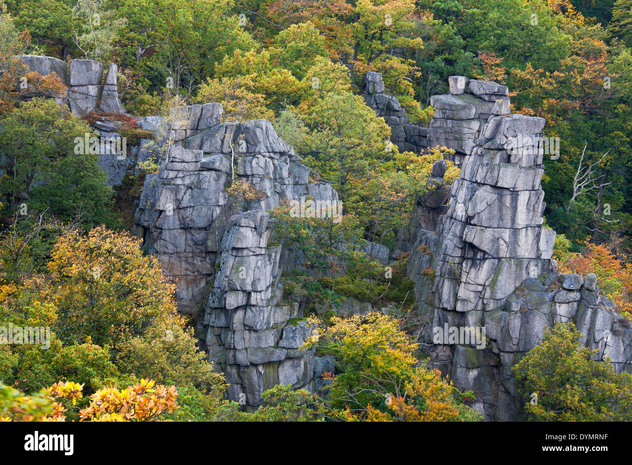 Vue sur la Bodetal / Vallée de Bode dans les montagnes du Harz, Thale, Saxe-Anhalt, Allemagne Banque D'Images